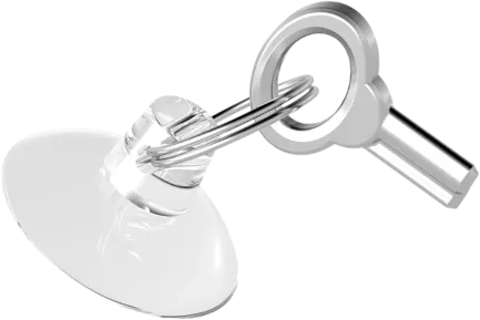 KEY FOR TERRARIUM (R1100610) ключ для тераріума