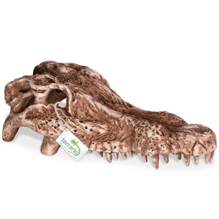 Декорація череп крокодила Terrario Crocodile Skull 30x14x9см (A15911)