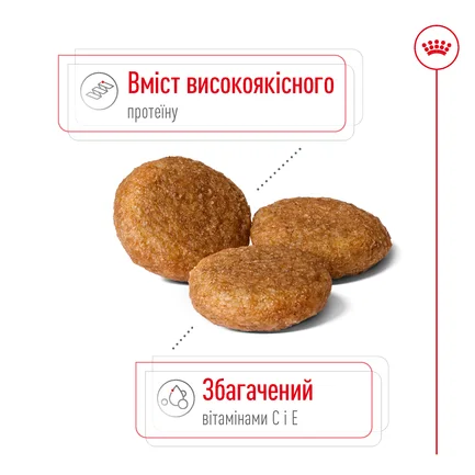 Сухий корм Royal Canin MEDIUM ADULT для дорослих собак середніх порід 15 кг: додаткове фото 5