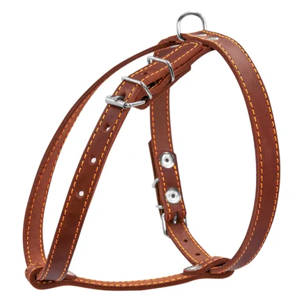 Шлея "CoLLaR" одинарна для малих порід собак (ширина 14мм, А:40-48см, В:43-51см) коричневий: додаткове фото 2