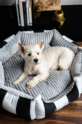 Chloe's Home Лежак для домашніх тварин Monte Carlo чорний М: додаткове фото 2