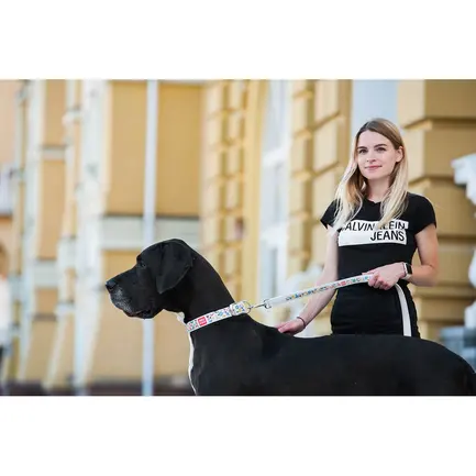 Повідець WAUDOG Design з малюнком "Пончики" (ширина 25 мм, довжина 122 см) білий: додаткове фото 3