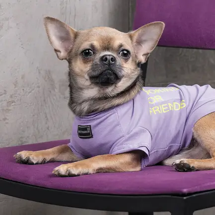 Футболка Pet Fashion «Game» для собак, розмір XS2, бузкова: додаткове фото 6