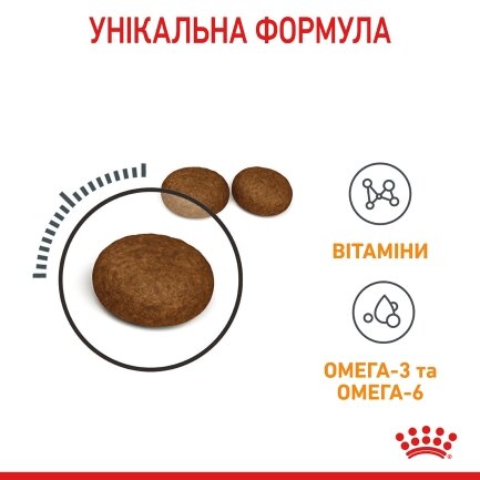 Сухий корм Royal Canin HAIR&amp;SKIN CARE для котів всіх порід 8кг+2кг — Фото 5