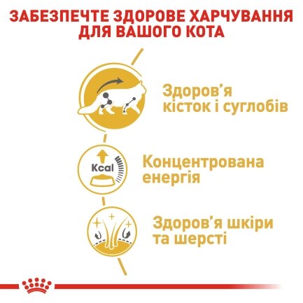 Вологий корм Royal Canin MAINECOON ADULT для котів всіх поріди Мейн-кун 85 г — Фото 2