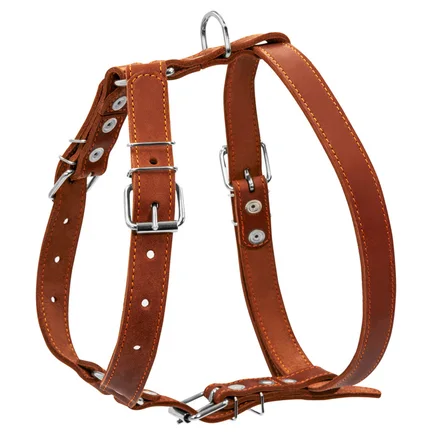 Шлея "CoLLaR" одинарна для середніх собак (ширина 25мм, А:49-68см, В:68-80см) коричневий: додаткове фото 2