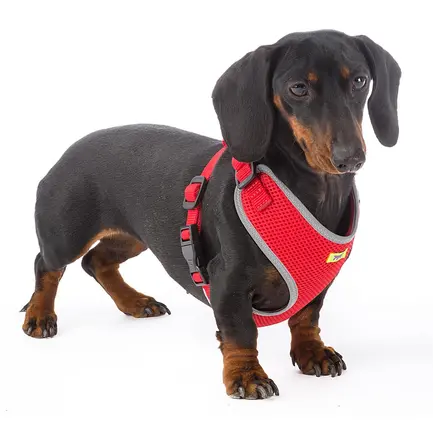 Ferplast NIKITA P XS HARNESS RED Шлея, нейлон, червона: додаткове фото 6