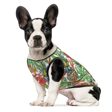 Борцівка Pet Fashion «Ріо» для собак, розмір XXS, принт