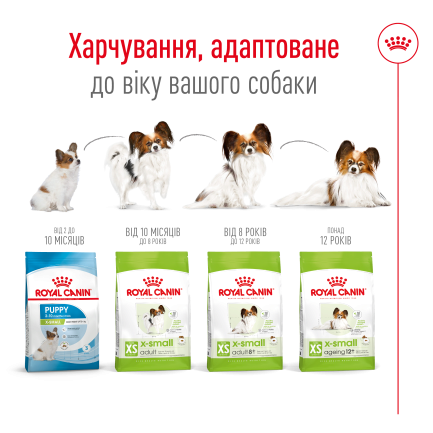 Сухий корм Royal Canin XSMALL ADULT для дорослих собак мініатюрних порід 3 кг — Фото 3