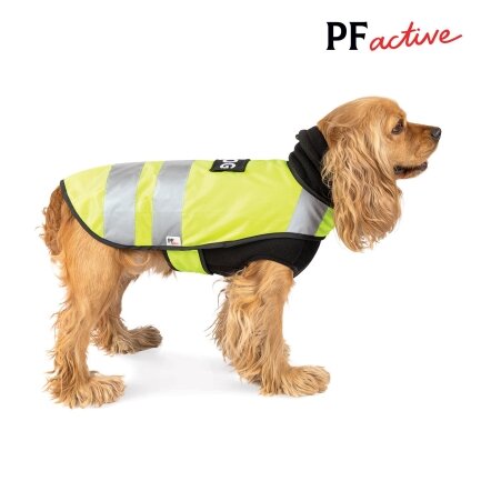 Жилет Pet Fashion «Warm Yellow Vest» для собак, розмір S, жовтий — Фото 2