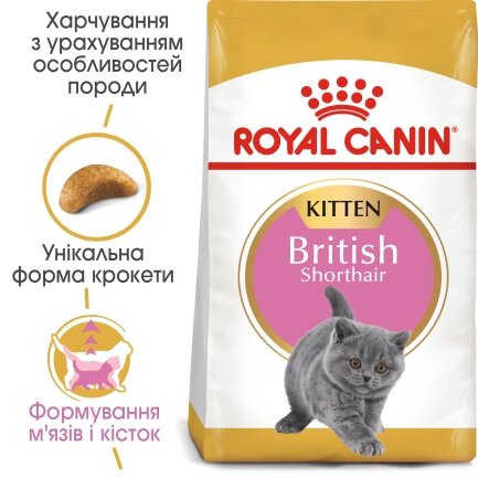 Сухий корм Royal Canin KITTEN BRITISH SHORTHAIR для породи кошенят Британська короткошерста кішка 8кг + 2кг