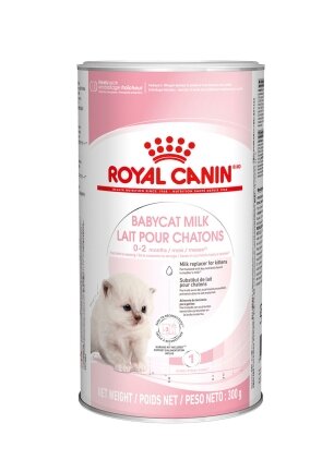 Сухий корм Royal Canin BABYCAT MILK для кошенят всіх порід 0,3 кг