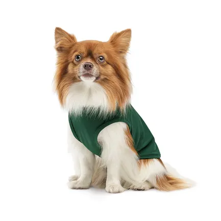 Борцівка Kale ТМ Pet Fashion для собак XXS зелена: додаткове фото 3