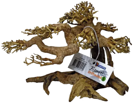 Дерево бонсай BONSAI DRIFTWOOD S (A4080100)