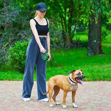 Повідець-рулетка для собак WAUDOG R-leash з контейнером для пакетів, світловідбивна стрічка, L, до 40 кг, 5 м, зелений: додаткове фото 3