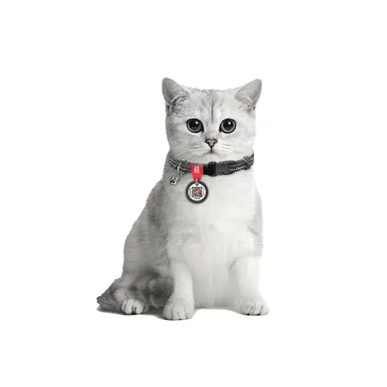 Нашийник для котів з відновленої бавовни WAUDOG Re-cotton з QR паспортом, світловідбиваючий, пластиковий фастекс, XS, Ш 10 мм, Дов 20-30 см, сірий: додаткове фото 4