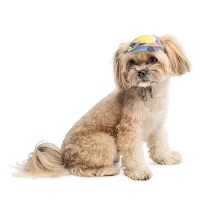 Кепка Tony ТМ Pet Fashion для собак ХL принт: додаткове фото 2