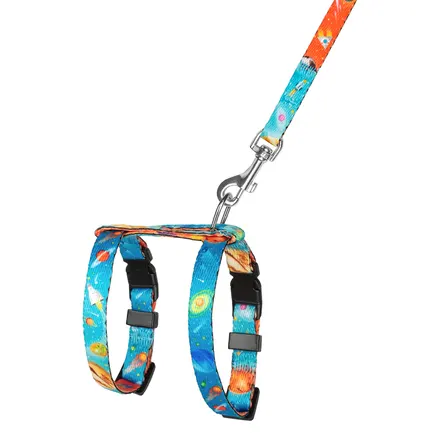 Шлея з повідцем для Котів та Дрібних Собак BronzeDog Urban Cosmos Блакитна XS: додаткове фото 4