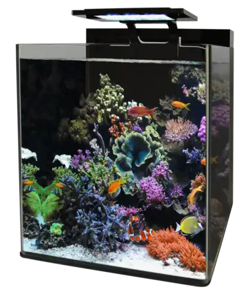 BM REEF 90 AQUARIUM (N4055350) морський акваріумний комплект