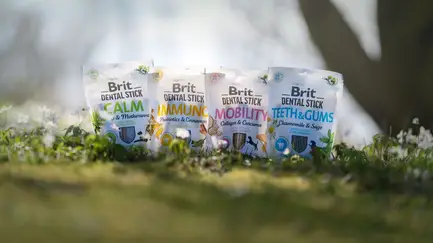 Ласощі для собак Brit Dental Stick Teeth & Gums здорові ясна та зуби, ромашка і шавлія, 7 шт, 251 г: додаткове фото 6