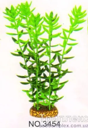 Aquatic Plants (Акватик Плэнтс) Акваріумна рослина, 34 см х 6 шт/уп.