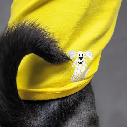 Борцівка Pet Fashion «Puppy» для собак, розмір XS2, жовта: додаткове фото 5