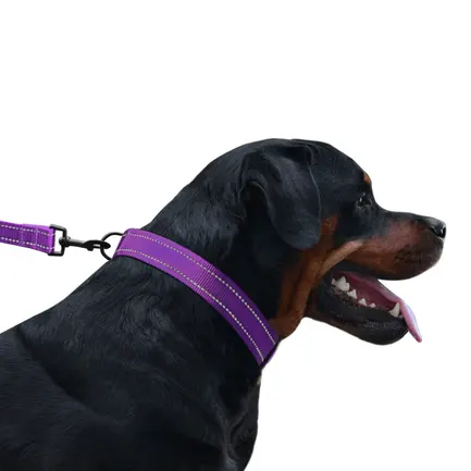 Повідець для Собак Bronzedog Active Нейлоновий зі Світловідбиттям Фіолетовий L: додаткове фото 7