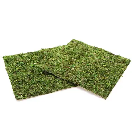 Фон моховий Repti-Zoo Natural Moss Back & Bottom 20x20см 2шт. (NCM2020): додаткове фото 6