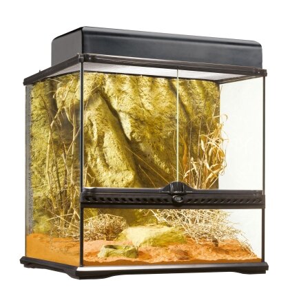 Тераріум Exo Terra Natural Terrarium скляний, 45 x 45 x 45 см