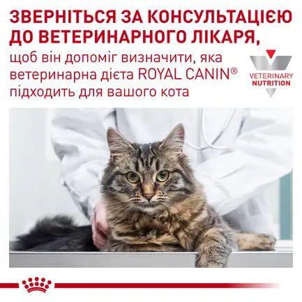 Дієтичний вологий корм Royal Canin GASTROINTESTINAL FIBRE RESPONSE CAT для котів 85 г: додаткове фото 9