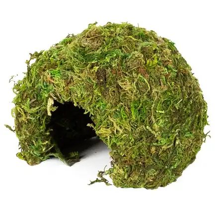 Схованка з моху Repti-Zoo Natural Mossy Dome S 11x10см (ERS25S): додаткове фото 2
