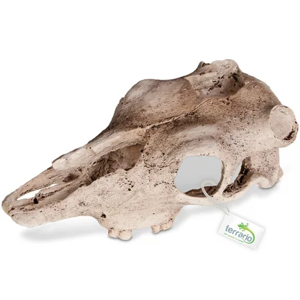 Декорація череп буйвола Terrario Buffalo Skull 21x12x8см (22128): додаткове фото 7