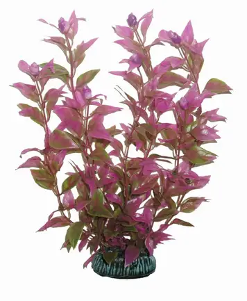 Акваріумна рослина Aquatic Plants, 25 см x 8 шт / уп (2563)