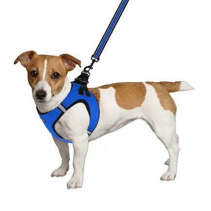 Шлея для собак Bronzedog Mesh Vest 3D сітка синя 3XS: додаткове фото 3