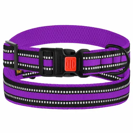 Нашийник для Собак BronzeDog Mesh c Пластиковою Пряжкою Фіолетовий M