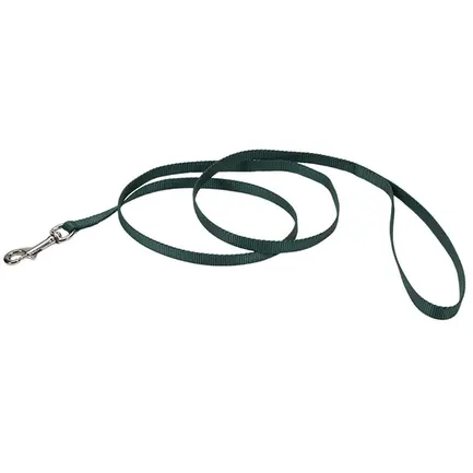 Coastal Nylon Leash КОСТАЛ НАЙЛОН повідець для собак, 1смХ1.2м Хакі