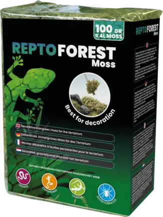 Декорація для акваріума REPTO FOREST MOSS 100G (R5100490)