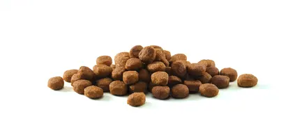 Сухий корм PURINA ONE Indoor для дорослих котів що постійно перебувають у приміщенні комплекс Bifensis з індичкою 200 г: додаткове фото 7