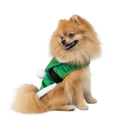Попона Pet Fashion "Santa" для собак, розмір M, зелена: додаткове фото 2
