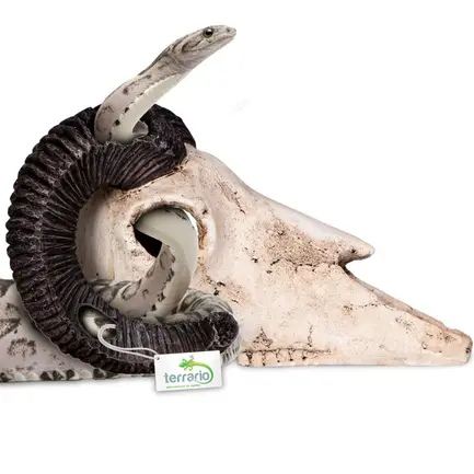 Декорація череп барана Terrario Ram Skull 19x16x11см (191712): додаткове фото 3