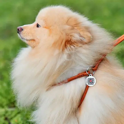 Шлея з повідцем для собак шкіряна WAUDOG Soft з QR паспортом, кругла, Д 6 мм, А 42-60 см, В 46-64 см коричневий: додаткове фото 5
