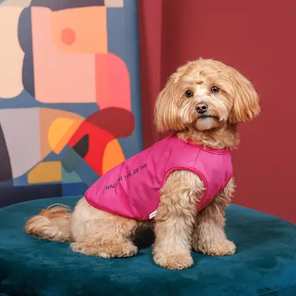 Борцівка Kale ТМ Pet Fashion для собак M малина: додаткове фото 4