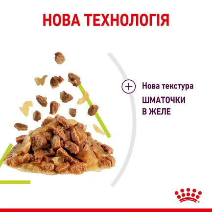 Вологий корм Royal Canin SENSORY SMELL JELLY для котів всіх порід 85 г: додаткове фото 2