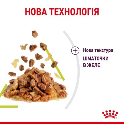 Вологий корм Royal Canin SENSORY SMELL JELLY для котів всіх порід 85 г — Фото 1