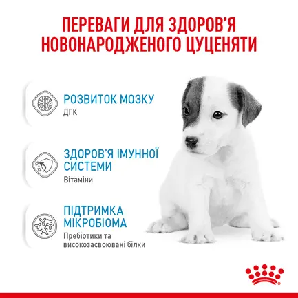 Сухий корм Royal Canin BABYDOG MILK для цуценят всіх порід 2 кг: додаткове фото 10