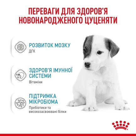 Сухий корм Royal Canin BABYDOG MILK для цуценят всіх порід 2 кг — Фото 8