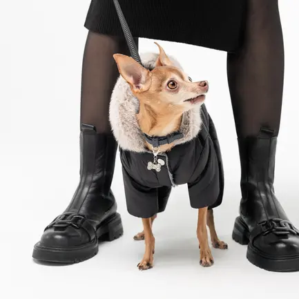 Костюм Pet Fashion «Black» для собак, розмір M, чорний: додаткове фото 3