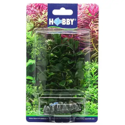 Штучна рослина Hobby Bacopa 13см (51556): додаткове фото 3