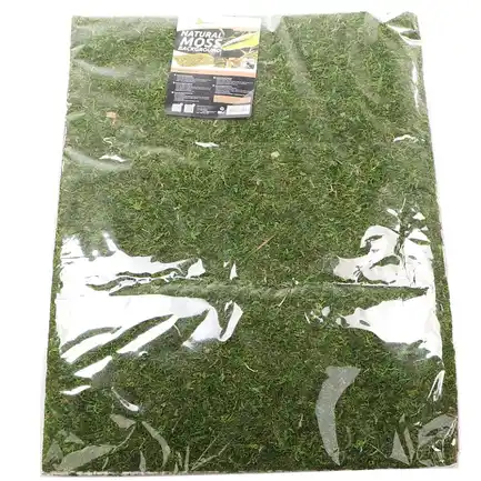 Фон моховий Repti-Zoo Natural Moss Back & Bottom 50x25см 2шт. (NCM5025): додаткове фото 2