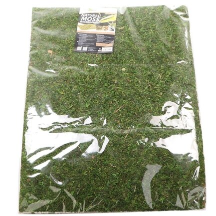 Фон моховий Repti-Zoo Natural Moss Back &amp; Bottom 50x25см 2шт. (NCM5025) — Фото 1